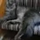 Турманидзе