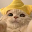 ДиньДон