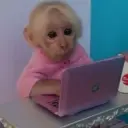 zexi4