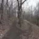 bysik