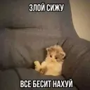 executus