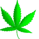 CANNABIS