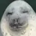 Denchkik