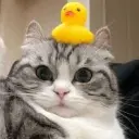 Достойный_неактив8510755