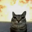 iglaos