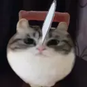 POjsjdd