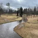 ментол