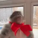 Piski_siski