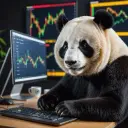 Panda_tm2