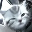 killmeweekey