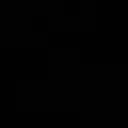 zyn
