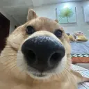 iiimaskiii