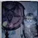 Lolz profile picture for @manson