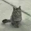 xuu