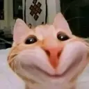 l_l_l_l_l_lll