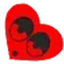 COOLGUYUTPOLDU