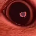 DrqCybba