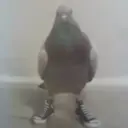 1meli