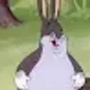 Bigchungussss