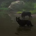 ооопнукуек