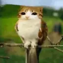 хочусосать