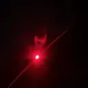 tomas0111
