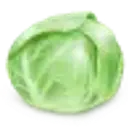 Топлоаоа
