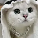 ПикПик