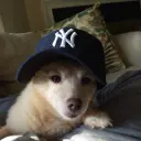 theskyee