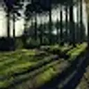 Nikitka_inactive8613553