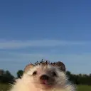 Raevsk1y