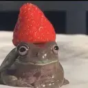 egorttop