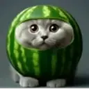 itzussr