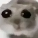 Tochno_chelowek