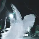scarywallet