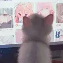 мяукошечка