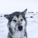 Кащенко