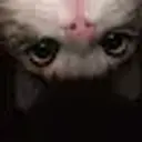 joksie