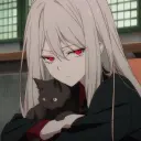 Genshin_Optom