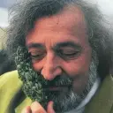 Jack_Herer