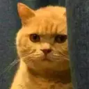 Autist_one1