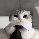 Invalitik