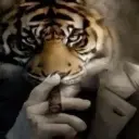 crescendo0000