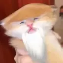NingaGo