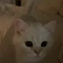 hexrty