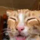 qwerzyx