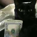 mooDenb