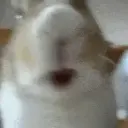 Твойбосс