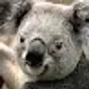 Lolz profile picture for @Park