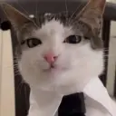 AtanHNE